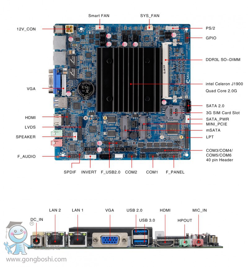 LR-J1900T2((bio)ע)